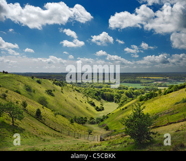 Les Démons le creux de pétrissage, Wye Downs National Nature Reserve. Banque D'Images