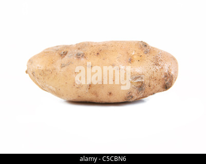 Anya les pommes de terre sur un fond blanc Banque D'Images