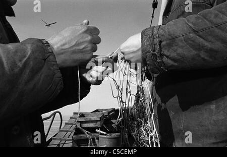 Deux pêcheurs russes la réparation de filets de pêche sur le lac Ilmen, Novgorod, Russie. Banque D'Images