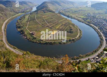 Moselschleife bei Bremm Herbst Mittelmosel, Boucle, courbe de la moselle près du village Bremm automne automne Banque D'Images