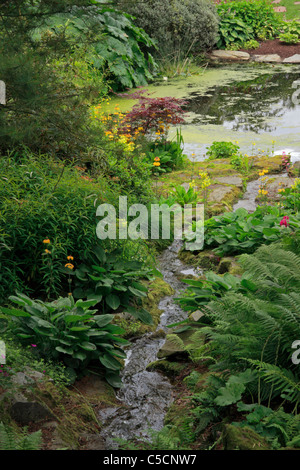 Étang de jardin en jardin de Threave près de Castle Douglas, Dumfries et Galloway, en Écosse. Banque D'Images