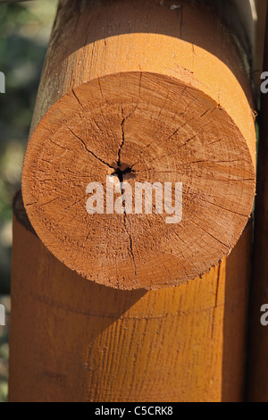 Partie de Bamboo-bridge, de l'Arunachal Pradesh, Inde Banque D'Images