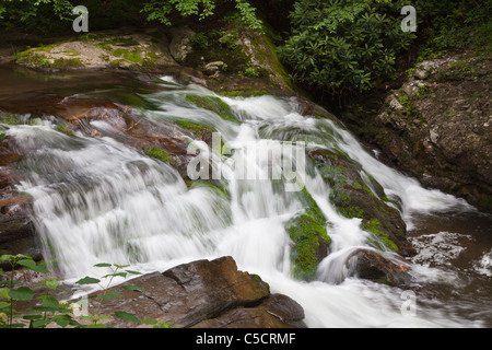 Cascade sur Laurel Creek, près de la Cades Cove dans le Great Smoky Mountains National Park sur l'Ohio. Banque D'Images