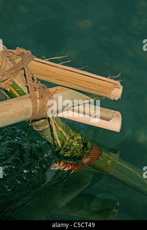 Partie de Bamboo-bridge, de l'Arunachal Pradesh, Inde Banque D'Images