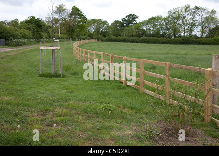 Nouveau poste et quatre sur l'escrime rail route en approche de Colemans Hill Farm Mickleton UK Banque D'Images