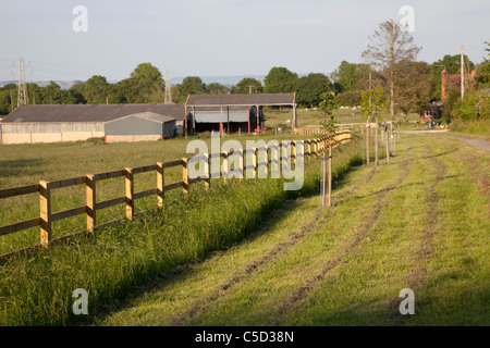 Nouveau poste et quatre sur l'escrime rail route en approche de Colemans Hill Farm Mickleton UK Banque D'Images