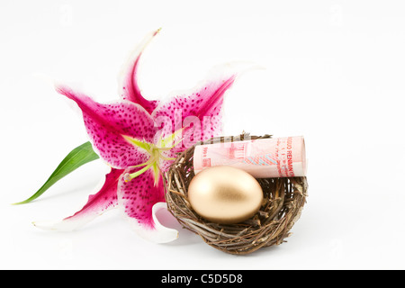 Lily blossom placé à côté de la devise yuan, œuf d'or, et le nid construit sur les bénéfices est pacifique. Banque D'Images
