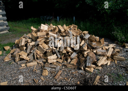 Pile de grumes de bois de chauffage fendu est des Etats-Unis Banque D'Images