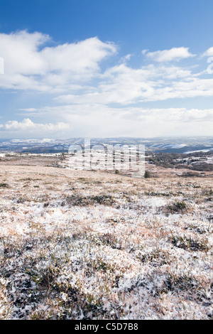 Dartmoor dans la neige de Saddle Tor, Devon, Angleterre, Royaume-Uni Banque D'Images