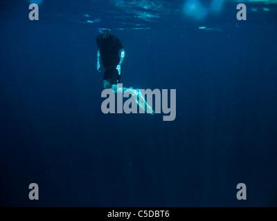 Plongée avec tuba dans la mer chaude. Coco Palm Dhuni Kolhu. L'atol Baa, Maldives. Banque D'Images