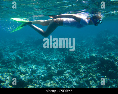 Plongée avec tuba dans la mer chaude. Coco Palm Dhuni Kolhu. L'atol Baa, Maldives. Banque D'Images