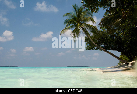 La mer tropicale et de palmiers penchés au dessus de la mer. Coco Palm Dhuni Kolhu. L'atol Baa, Maldives. Banque D'Images