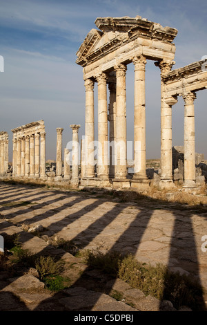 La colonnade d'Apamée de Syrie, au coucher du soleil Banque D'Images