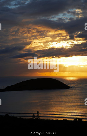 Lever de soleil sur l'Île Muttonbird et Coffs Harbour, New South Wales, Australie Banque D'Images