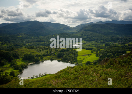 Loughrigg Tarn vu de Loughrigg Fell, Parc National de Lake District, Cumbria, Angleterre, Royaume-Uni Banque D'Images