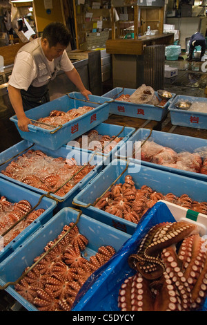 Des fruits de mer frais à la Tokyo Tsukiji fish market Banque D'Images