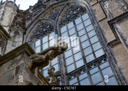 Les gargouilles sur le Dom Kerk, Utrecht Banque D'Images