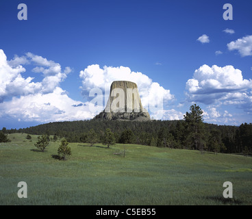 Formation de roche volcanique unique qui dépasse du terrain plat environnant.Devils Tower, comté de Crook, Wyoming, États-Unis. Banque D'Images