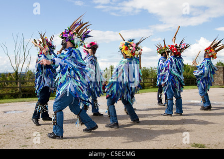 Danseuses Exmoor Border Morris, à fond noir, portant de longs chiffons déchirés, des vêtements en matériaux bleus et blancs, des vêtements et des danses, des événements en plein air, danseur de rue, danseurs costumés, des chiffons longs, des cloggies, spectacle, représentation de musiciens folkloriques, musiciens multicolores, populaire, Spectacle de divertissement traditionnel au Tutbury Castle Weekend of Dance Derbyshire, Royaume-Uni. Banque D'Images