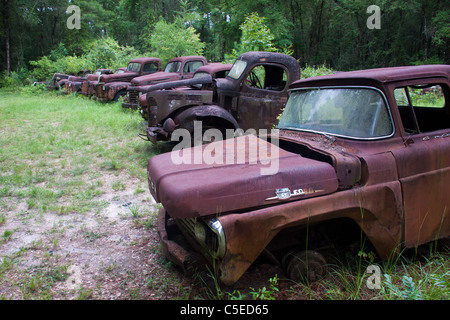 Rusty Ford camions et voitures dans une rangée, près de Crawfordville et Medart, Floride Banque D'Images