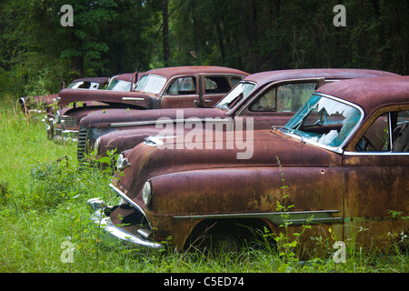 Rusty Ford camions et voitures dans une rangée, près de Crawfordville et Medart, Floride Banque D'Images