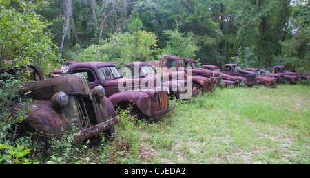 Rusty Ford camions et voitures dans une rangée, près de Crawfordville et Medart, Floride Banque D'Images