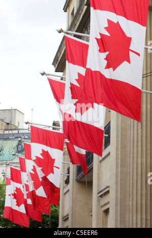 Battant le drapeau national du Canada Banque D'Images