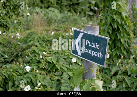 Sentier Public sign overgrown Cornwall England UK Banque D'Images