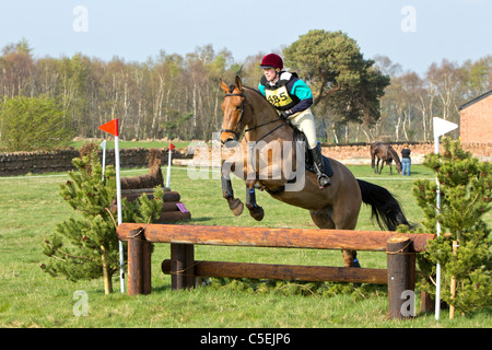 Saut à cheval sur la clôture à un concours complet Banque D'Images