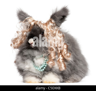 Lapin angora anglais portant perruque et pearls in front of white background Banque D'Images