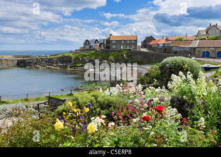 Le village de pêcheurs de Craster sur la côte de Northumberland, Angleterre du Nord-Est, Royaume-Uni Banque D'Images