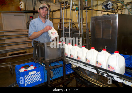 Le chauffeur de l'entreprise de l'usine d'embouteillage du lait à Burley, Idaho, USA. Banque D'Images