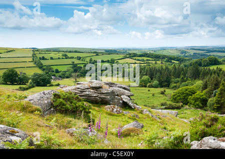 Vue de l'Sheepstor à Dartmoor en plein été, Devon, UK Banque D'Images