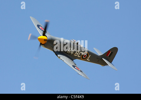 Hawker Sea Fury 'Argonaut' en vol pendant le séminaire 2011 Course pylône. Banque D'Images