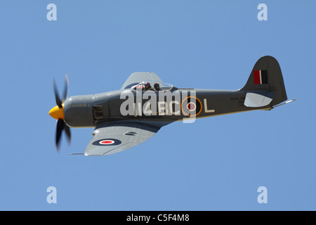 Hawker Sea Fury 'Argonaut' en vol pendant le séminaire 2011 Course pylône. Banque D'Images