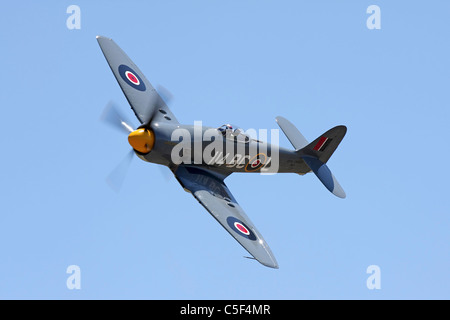 Hawker Sea Fury 'Argonaut' en vol pendant le séminaire 2011 Course pylône. Banque D'Images