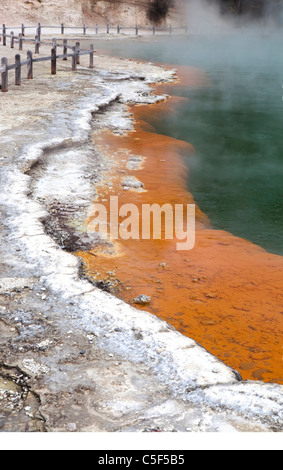 Champagne Pool, Wai-O-Tapu, Rotorua zone thermique, île du Nord, Nouvelle-Zélande Banque D'Images