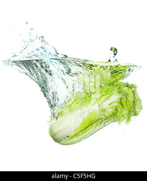 Le chou de Pékin dans de l'eau splash isolated on white Banque D'Images