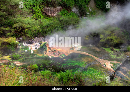 La vallée volcanique de Waimangu, Rotorua, île du Nord, Nouvelle-Zélande Banque D'Images