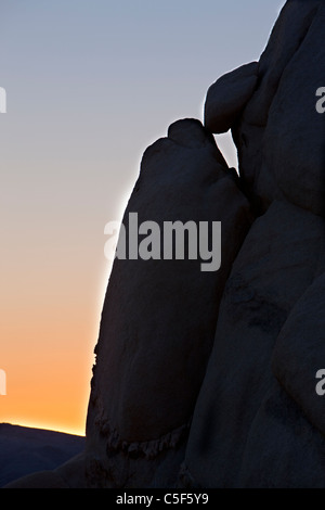 Joshua Tree, le parc national Joshua Tree, désert de Mojave, Californie, USA Banque D'Images