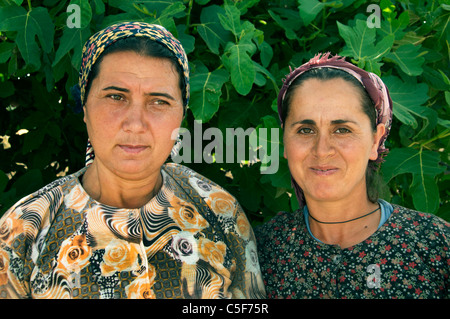 Femme femmes sud-ouest de la Turquie Agriculteur Récolte Turkish Banque D'Images