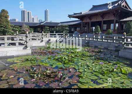 Étang de lotus en face de Chi Lin Nunnery, Hong Kong Banque D'Images