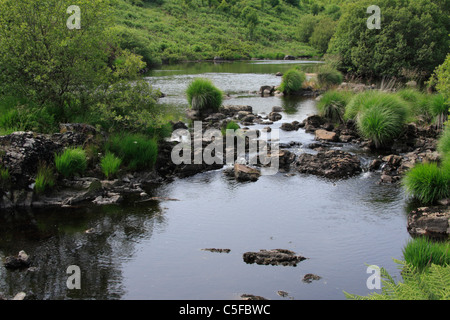 Rivière Dee près de Loch Stroan dans le Galloway Forest Park, Dumfries et Galloway, en Écosse. Banque D'Images