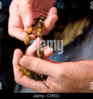 L'homme en passant par les mains de perles retrouvez Banque D'Images