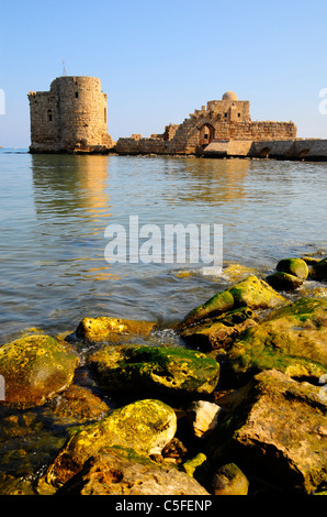 Château des croisés . Sidon (Saida ) . Moyen Orient. Le Liban. Banque D'Images