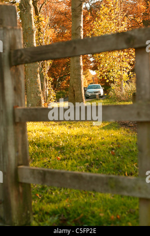 Une voiture d'argent voyageant le long d'une route de campagne à travers les arbres d'or à l'automne la lumière du soleil. La voiture est encadrée par la clôture dans le Banque D'Images