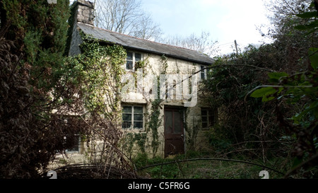 Chalet à l'abandon dans un jardin envahi par la Gloucestershire England UK KATHY DEWITT Banque D'Images