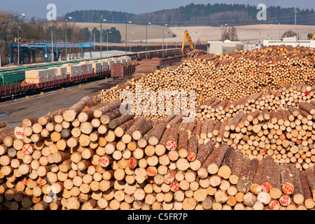 Vue d'énormes piles de bois empilés dans une usine de bois d'oeuvre Banque D'Images