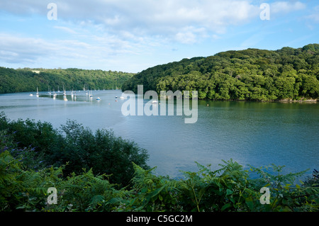 Vue de la rivière Truro avec la location des bateaux à voile / yachts et magnifique forêt de chênes à Malpas, Cornwall, UK Banque D'Images