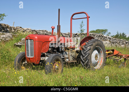 Tracteur Massey Ferguson 35 photographié sur un Hill Farm dans le Yorkshire Dales. Banque D'Images